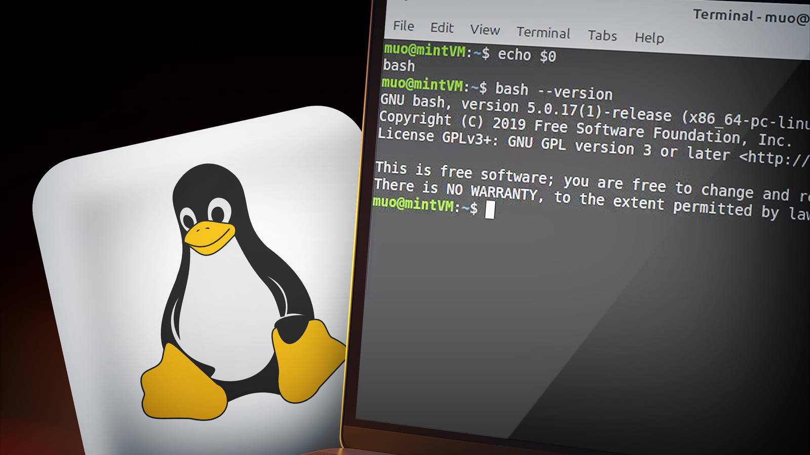 These 5 tips made my transition from Windows to Linux much easier