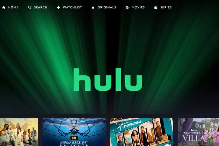 Hulu on Disney Plus Hub-1