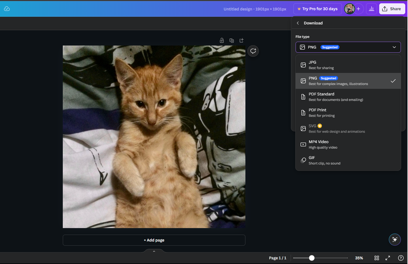 Did You Know Canva Works as a Quick Image File Converter? Here's How