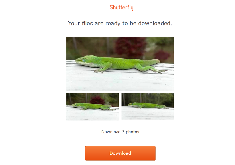 How to Mass Download All of Your Shutterfly Photos