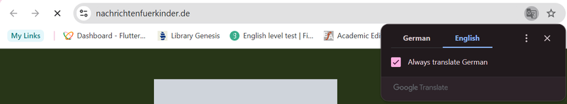 The Google Translate pop up in Google Chrome beside the search bar
