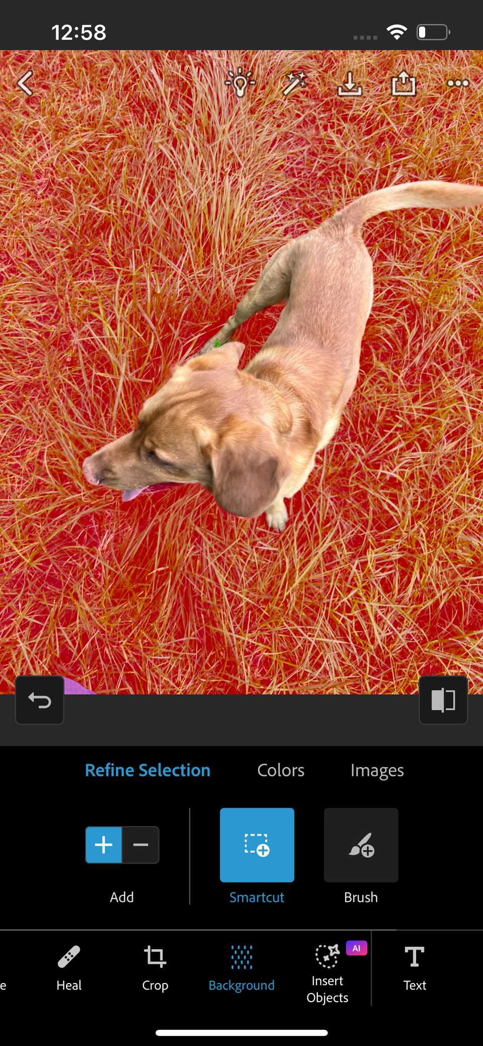 Here's How I Quickly Remove the Background From an Image on My Smartphone