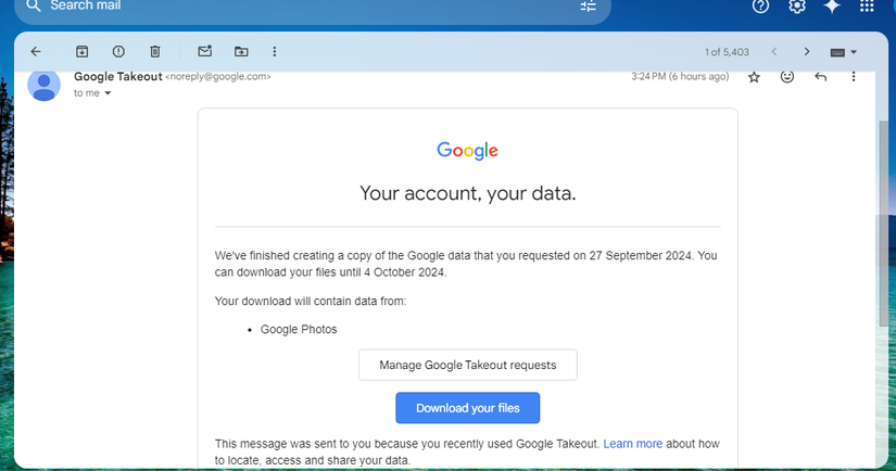 Google Takeout email
