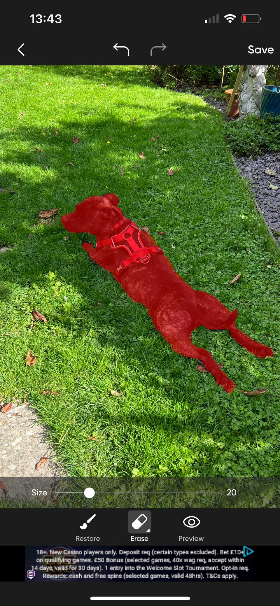7 Reasons Why This App Is Becoming My Favorite Free Photo Editor