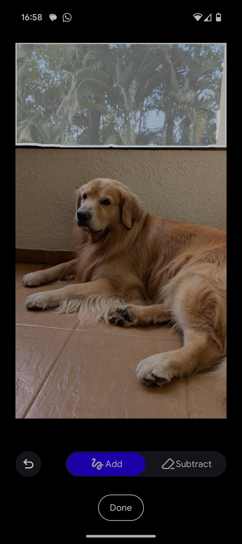 How to Make the Most of Android's Google Photos Editor for Better Images