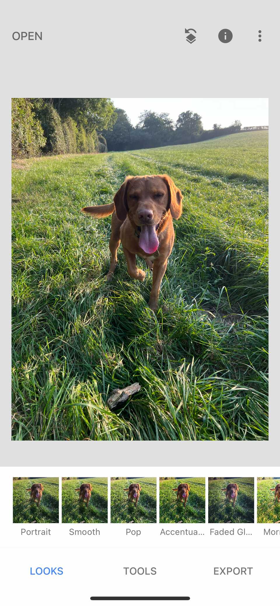 Here's How I Quickly Remove the Background From an Image on My Smartphone