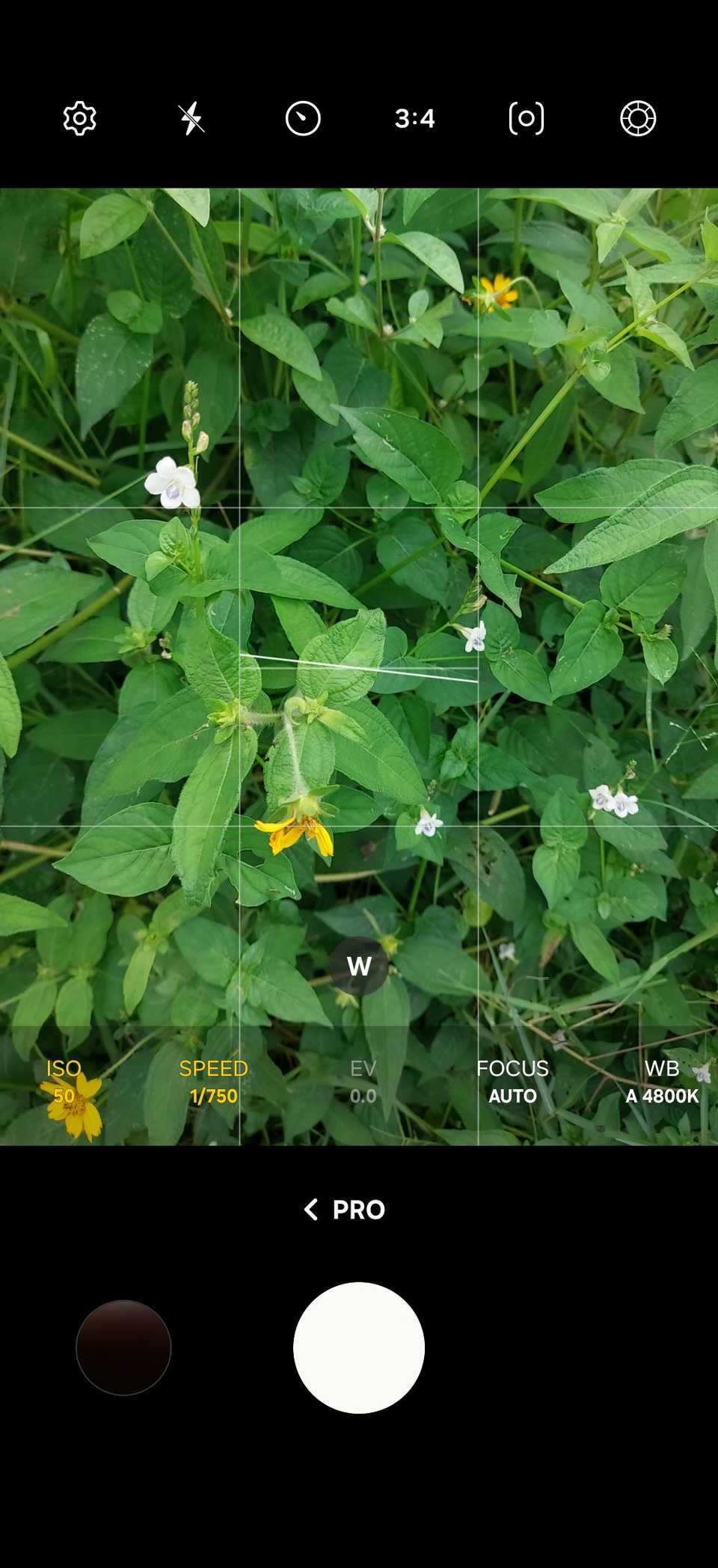 How to Nail Your Smartphone Photos Every Time Using This Beginner ...