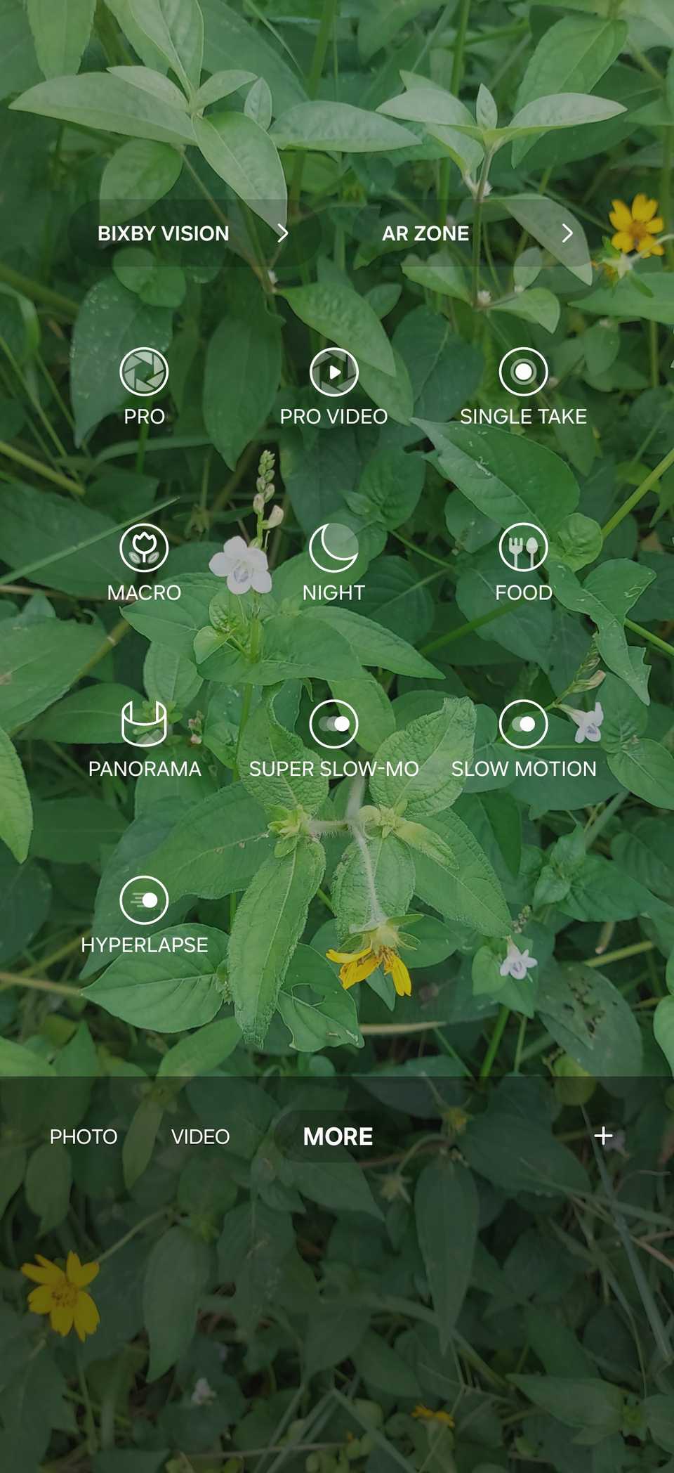 How to Nail Your Smartphone Photos Every Time Using This Beginner ...