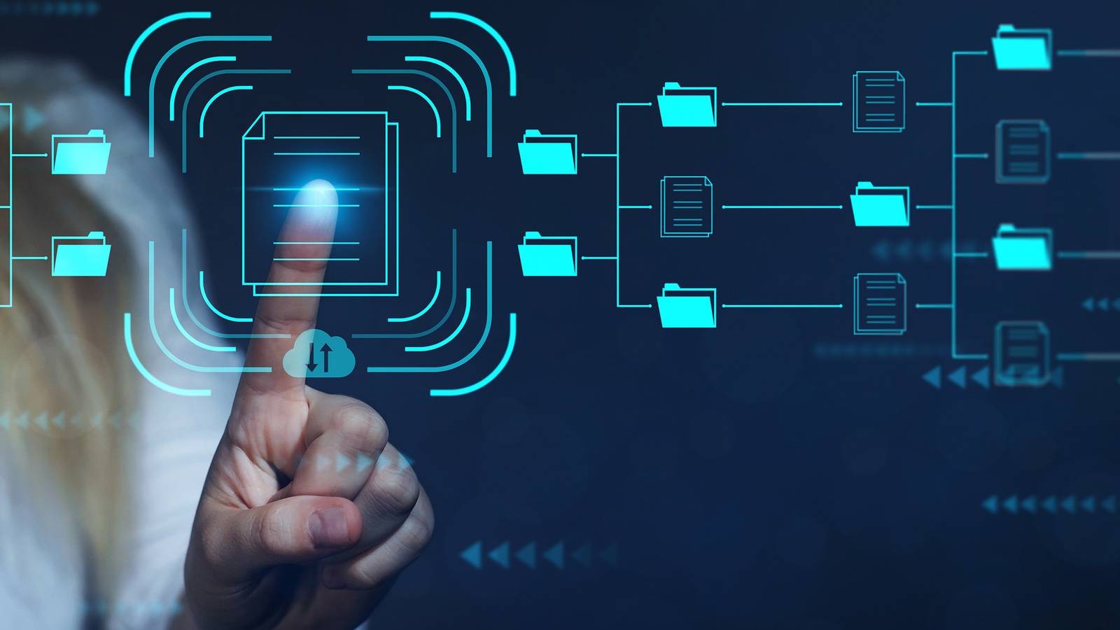 These Are the Best Personal Knowledge Management Tools for Organizing Information