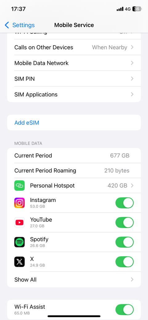 Mobile Service settings page on iPhone