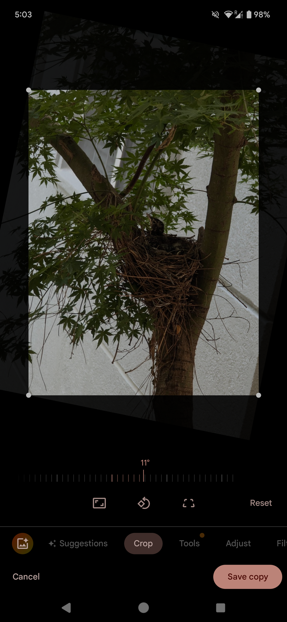 Photo Rotation Axis How to Master Photo Rotation on Your Smartphone
