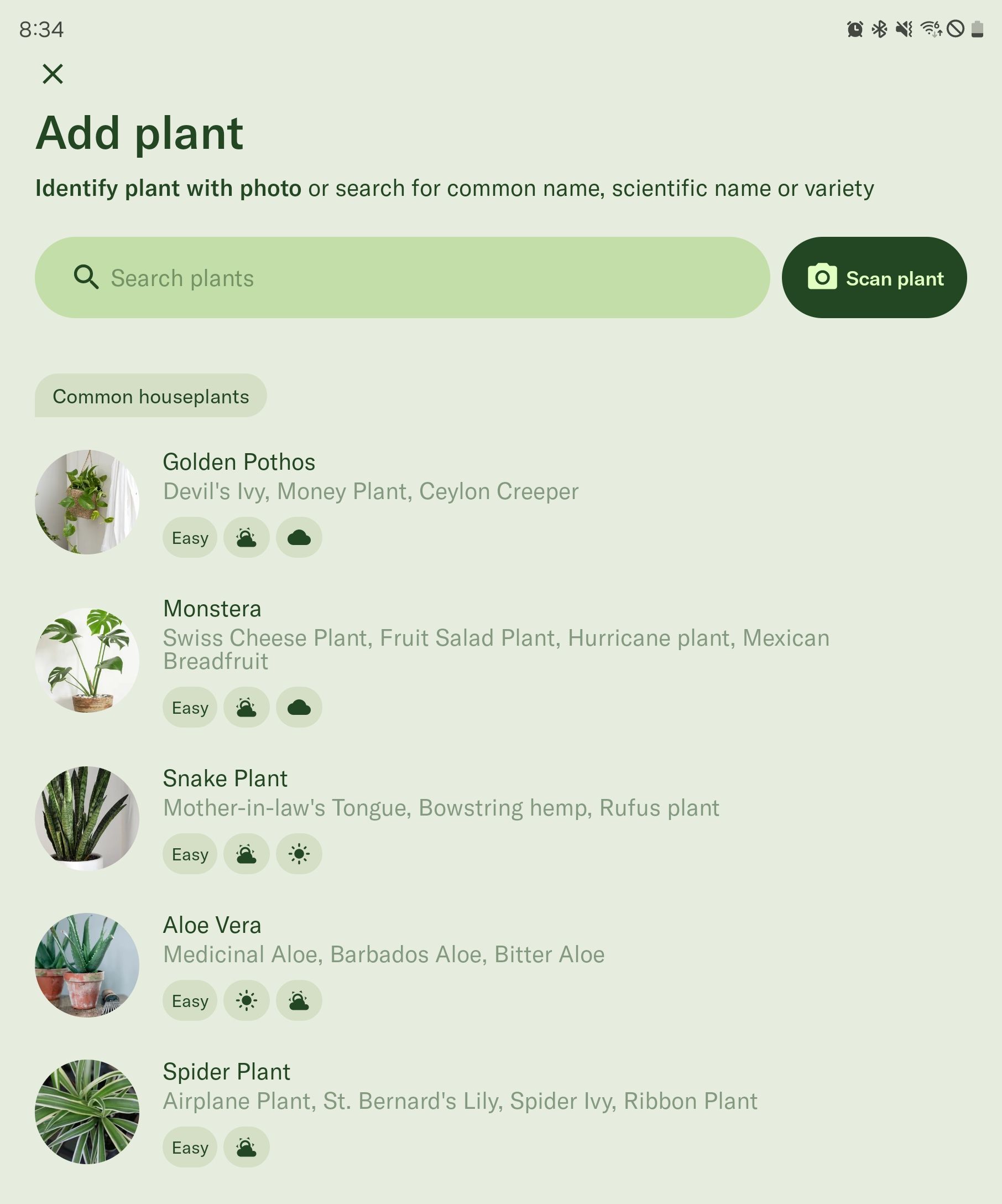 This App Is My Secret to Finally Keeping Houseplants Alive