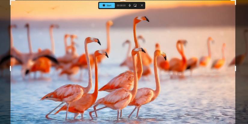 The Snipping Tool screen recording feature menu in Windows 11