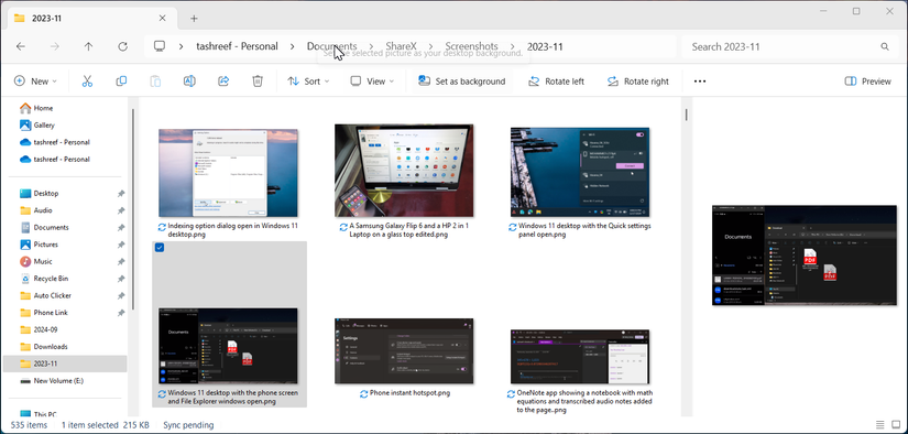 Windows 11 File Explorer with random images