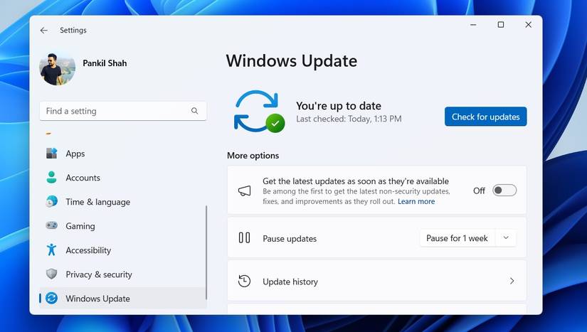 Fila Windows Update din aplicația Setări Windows 11