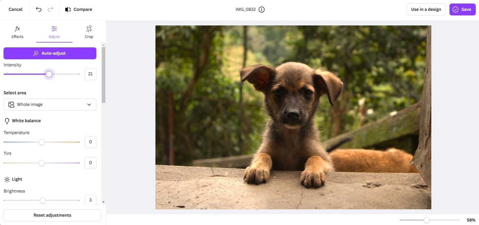 Why I Prefer Editing My Photos With AI Tools Over Manual Techniques