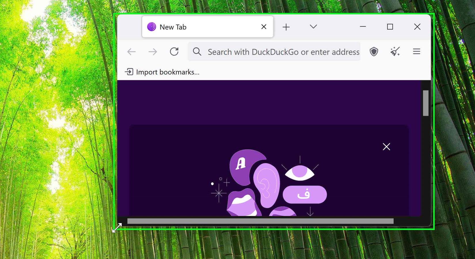 These Are My 9 Tips on Using the Tor Network Safely