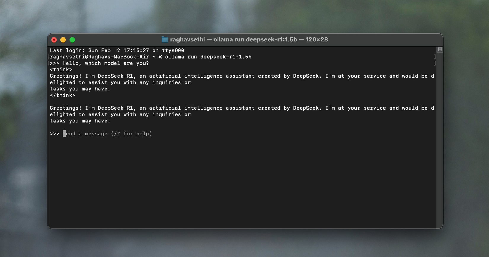 I Tried Running DeepSeek Locally on My Laptop: Here’s How It Went