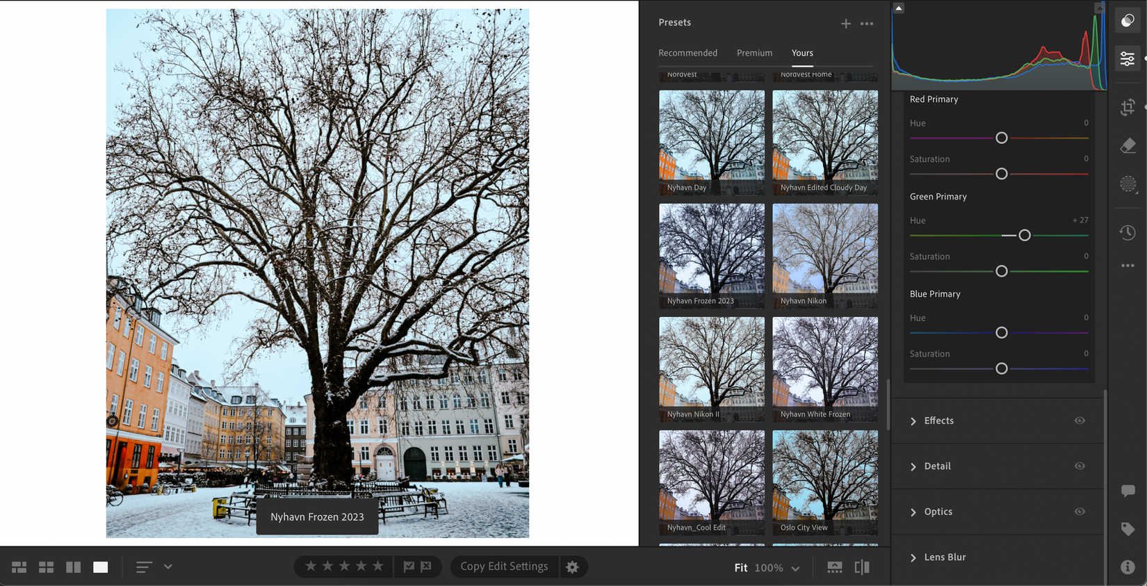 5 Reasons You Should Use Presets for Photo Editing