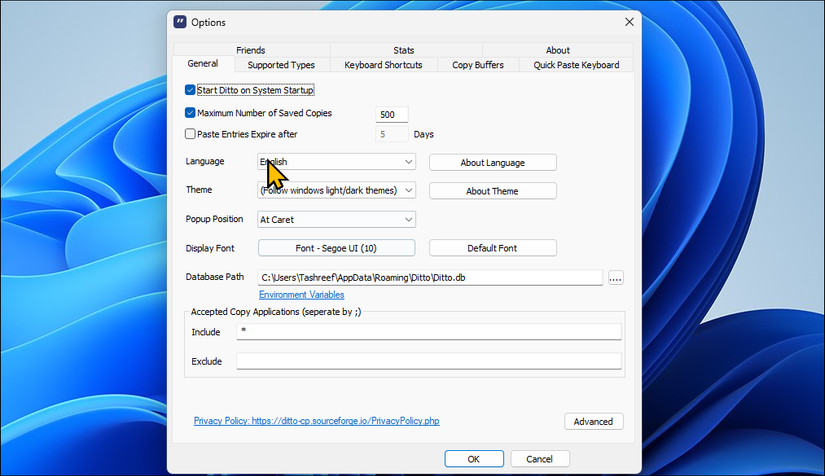 Ditto Clipboard Manager option dialog on Windows 11