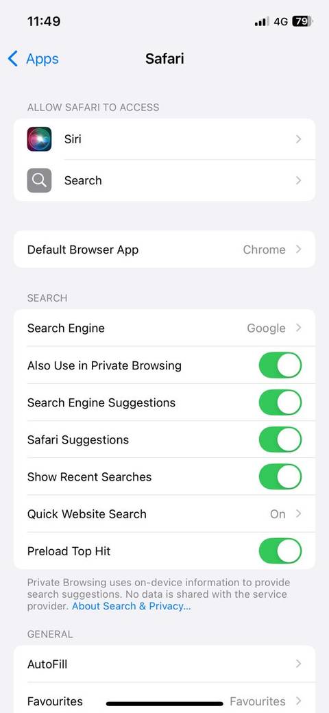 Safari settings on iPhone