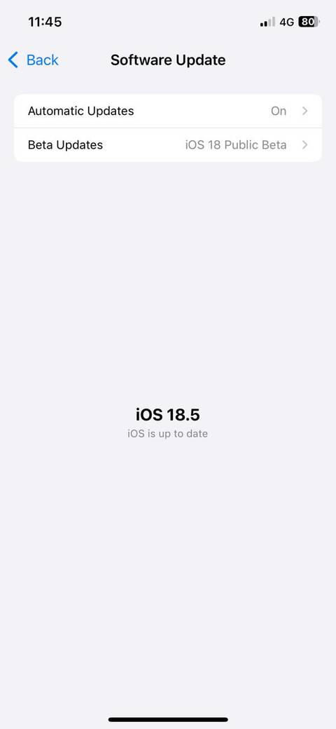 Software update menu on iPhone