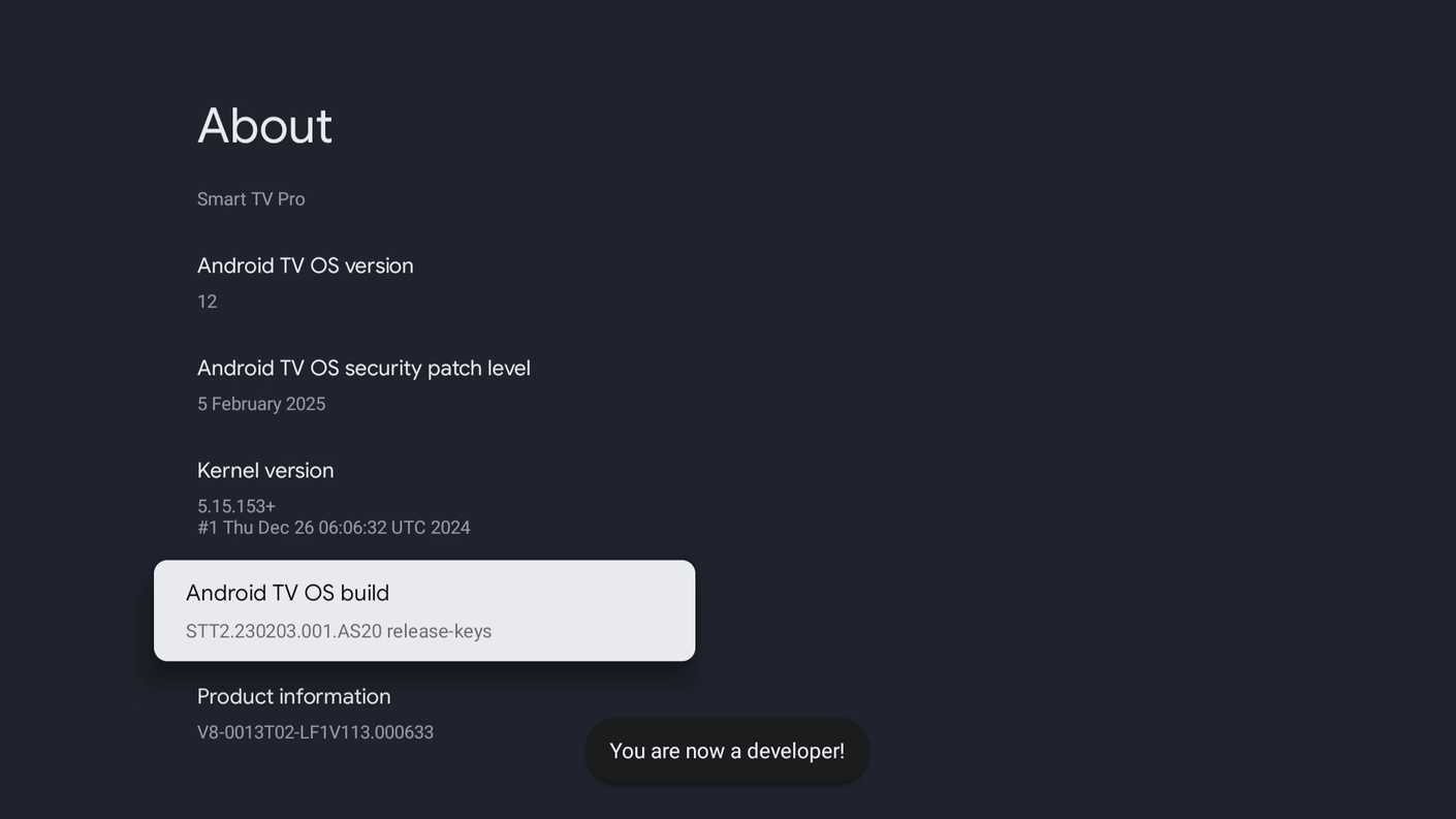 Как открыть скрытое меню разработчика на Google TV и ускорить систему
