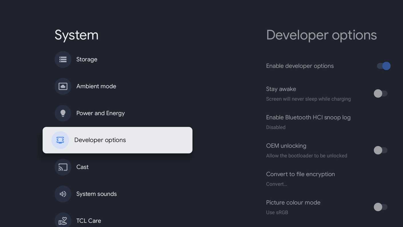 Меню разработчика в системе Google TV Активированное меню разработчика в настройках Google TV