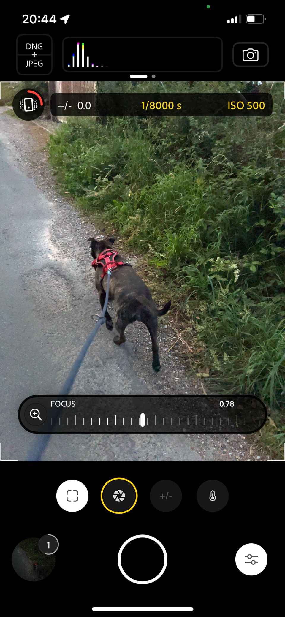 Every Smartphone Photographer Should Know About This Adobe App