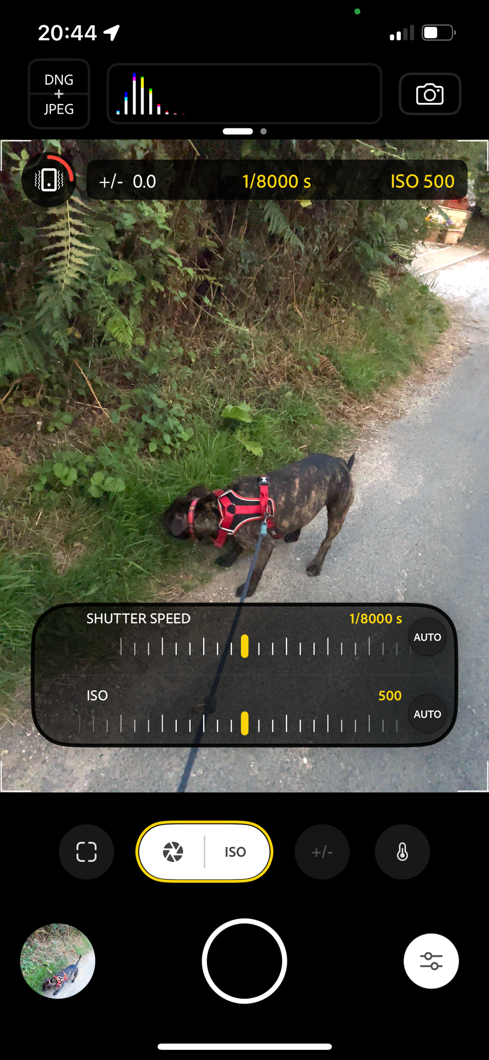 Every Smartphone Photographer Should Know About This Adobe App