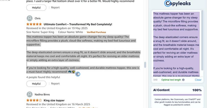 A product review page with AI-generated content highlighted.