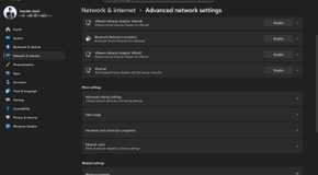 Windows 11 advanced network settings