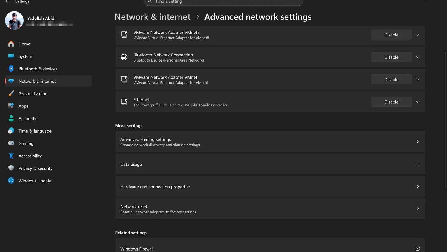Windows 11 advanced network settings