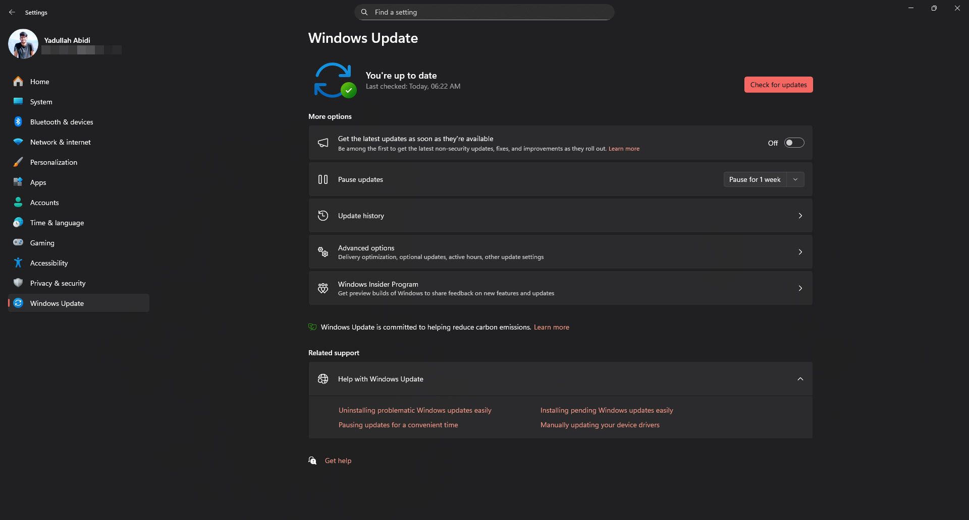 Windows 11 Windows Update settings