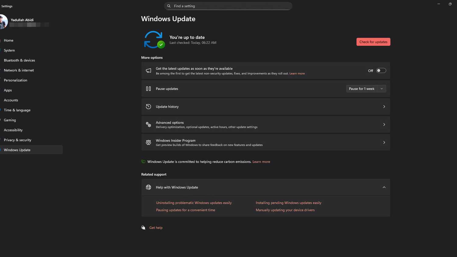 Windows 11 Windows Update settings