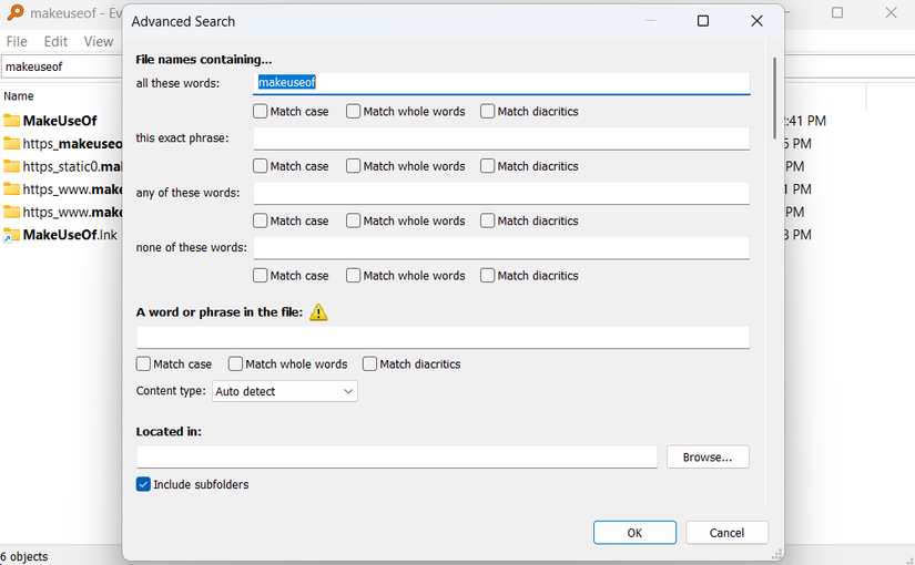 Advanced search in Everything app