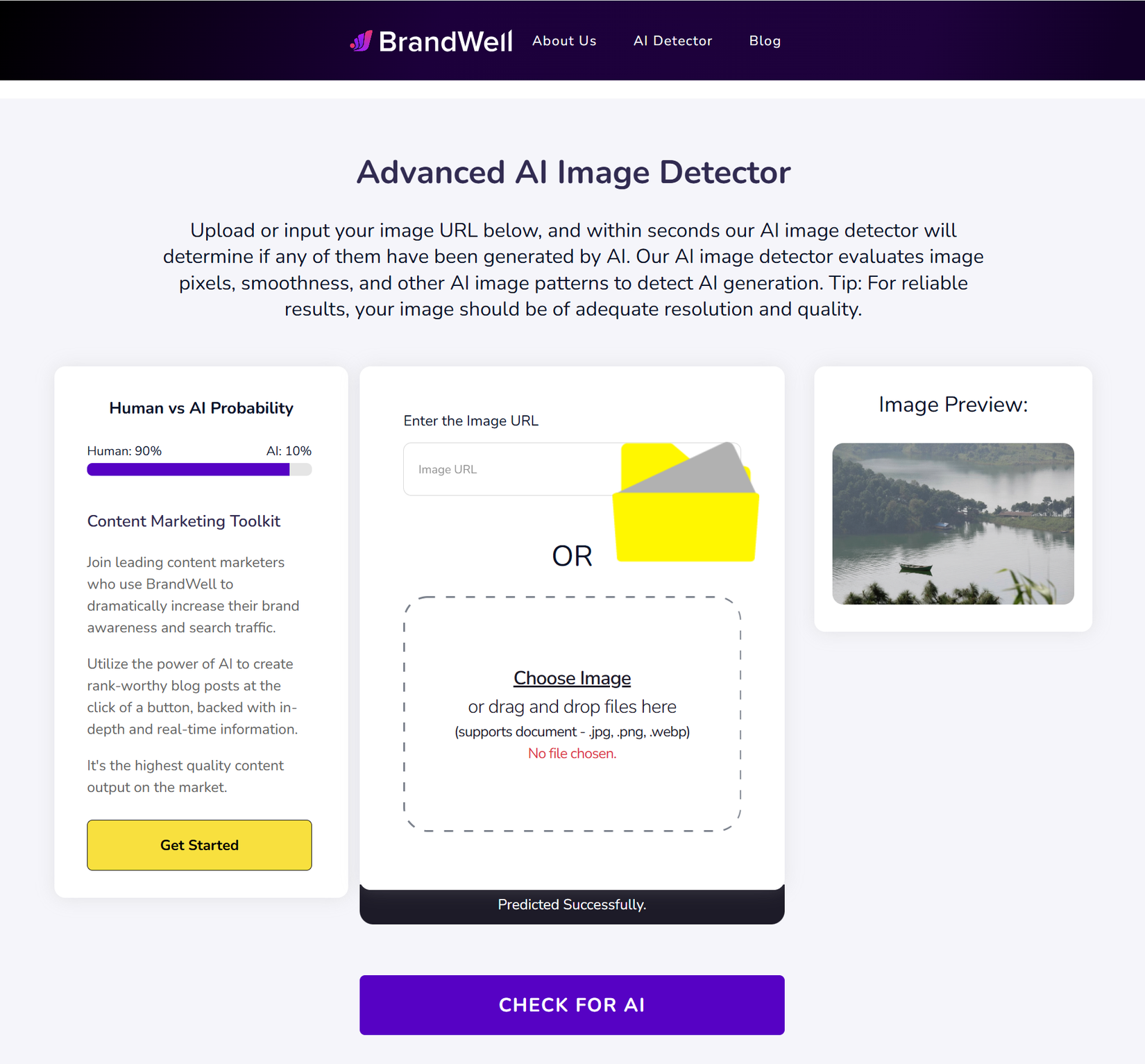 Brandwell AI image detector. 
