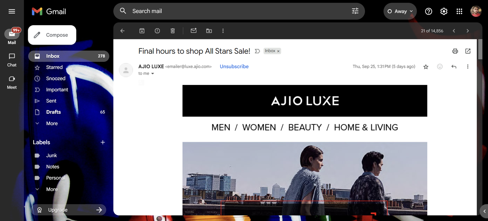 Gmail inbox showing a promotional email with images loaded