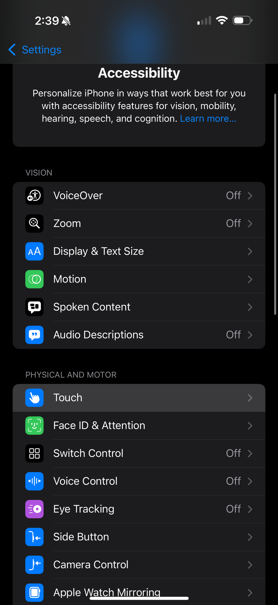 iOS accessibility menu
