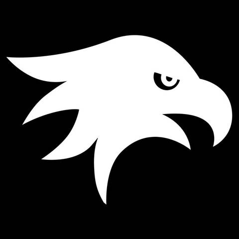 Windhawk logo