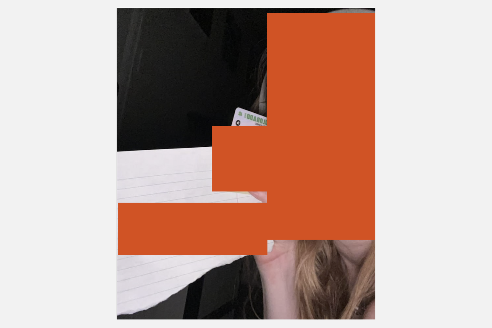 data leaked by discord hacking group redacted