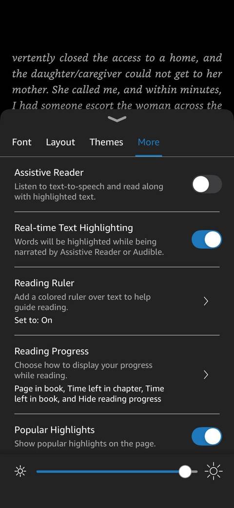 Kindle Ruler settings More menu