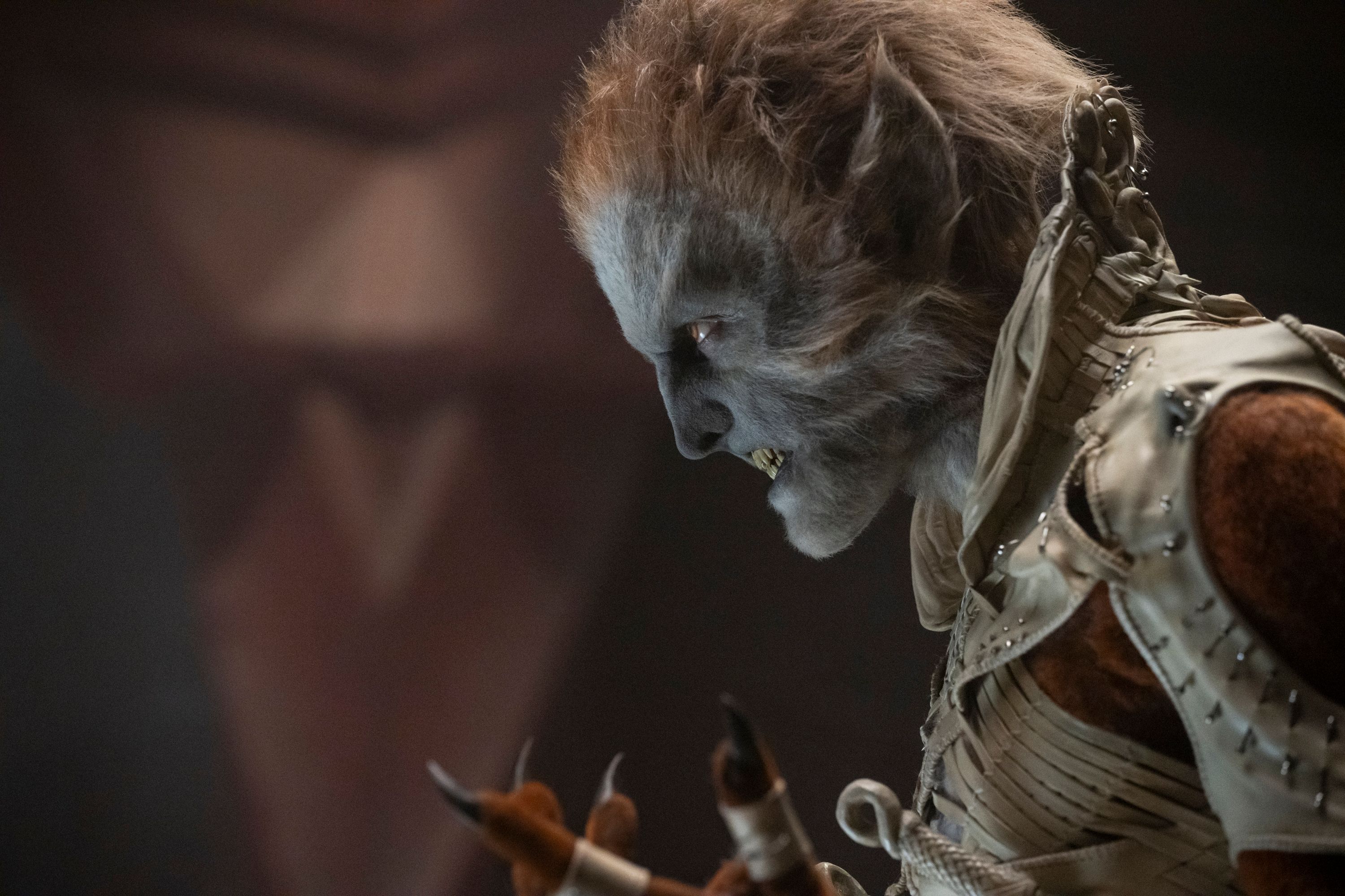 Amazon screwed itself by canceling this great fantasy series, but it’s ...