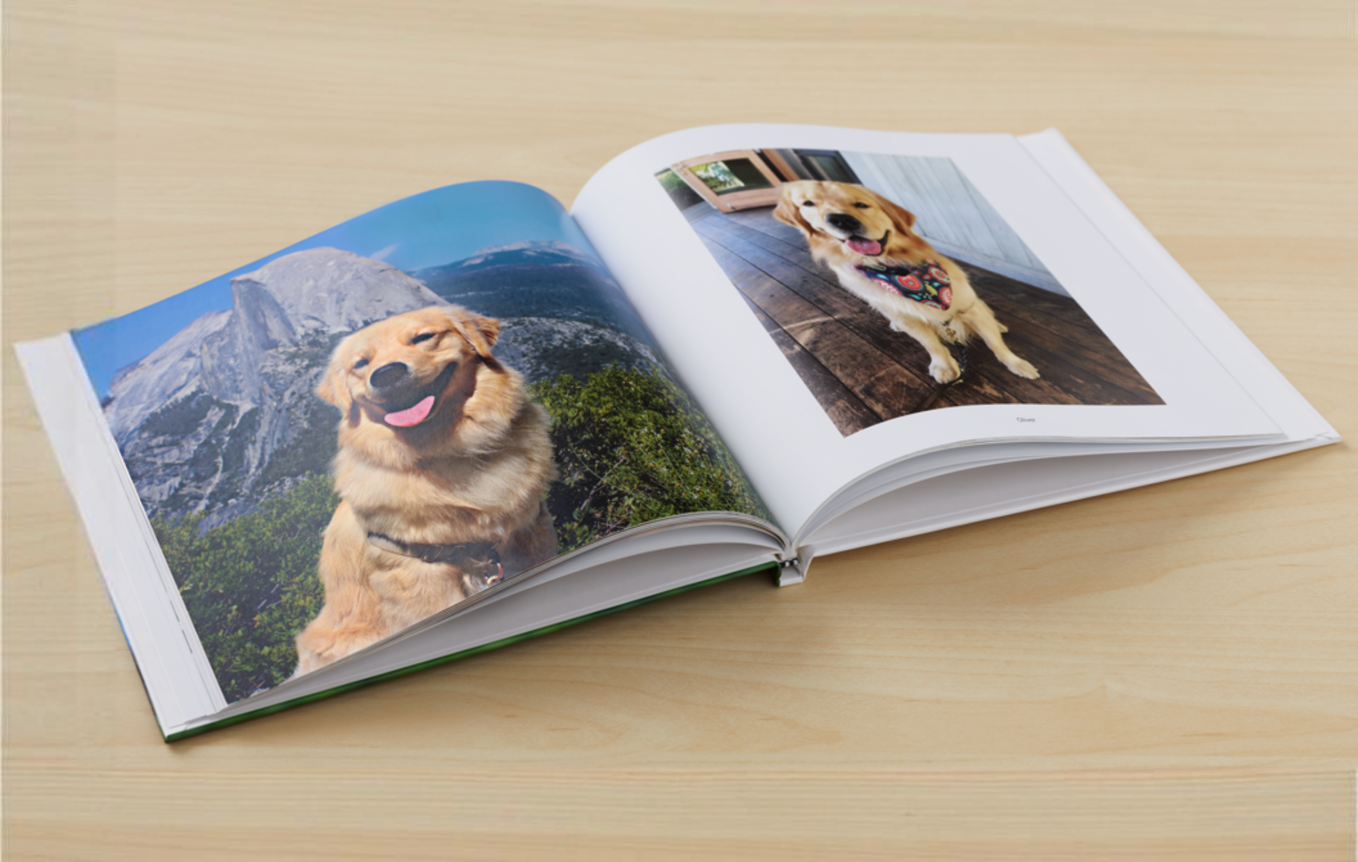 Google Photo Book