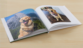 Google Photo Book