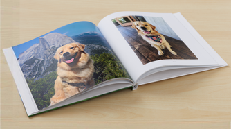 Google Photo Book