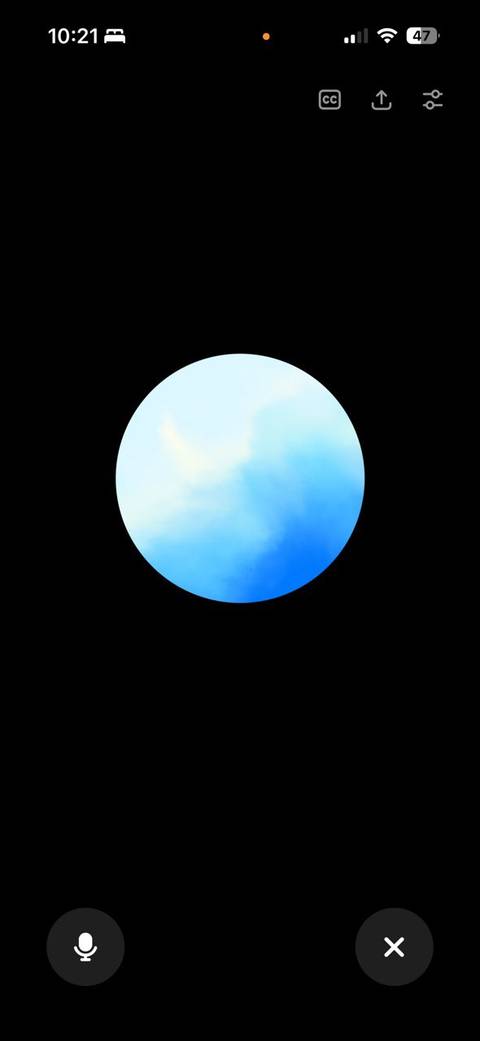 ChatGPT Voice Mode screen.