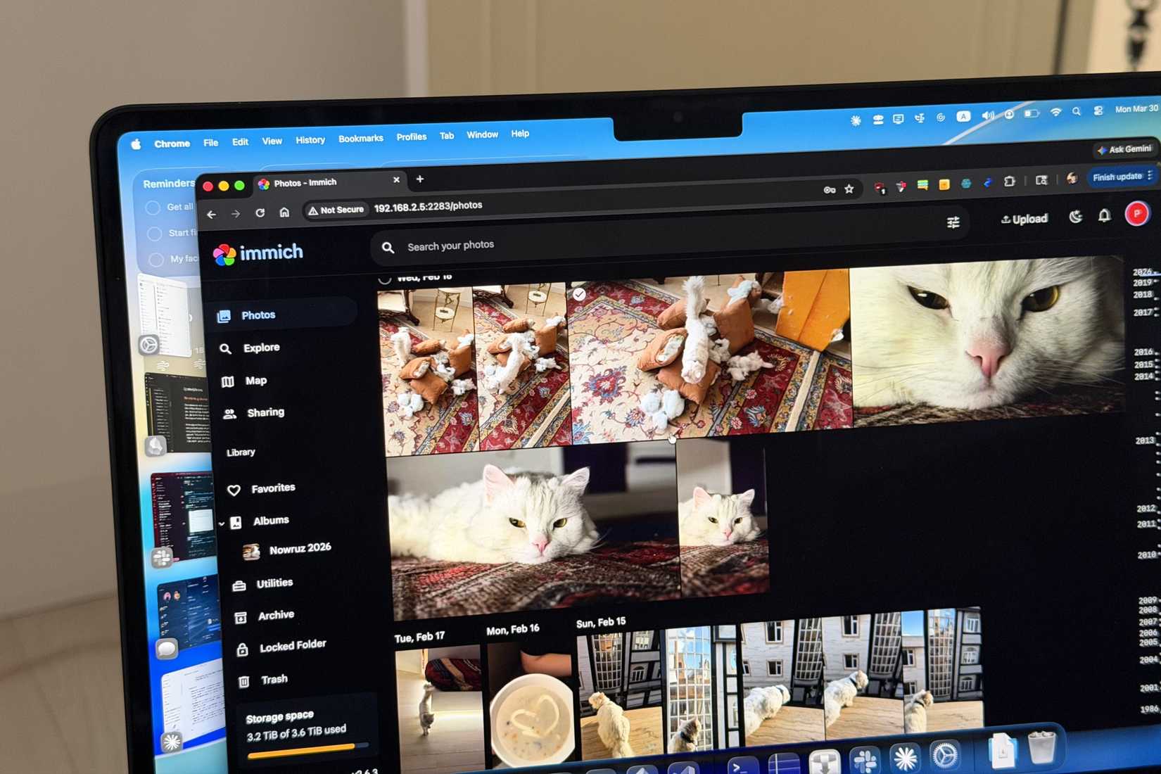 Immich on a MacBook laptop