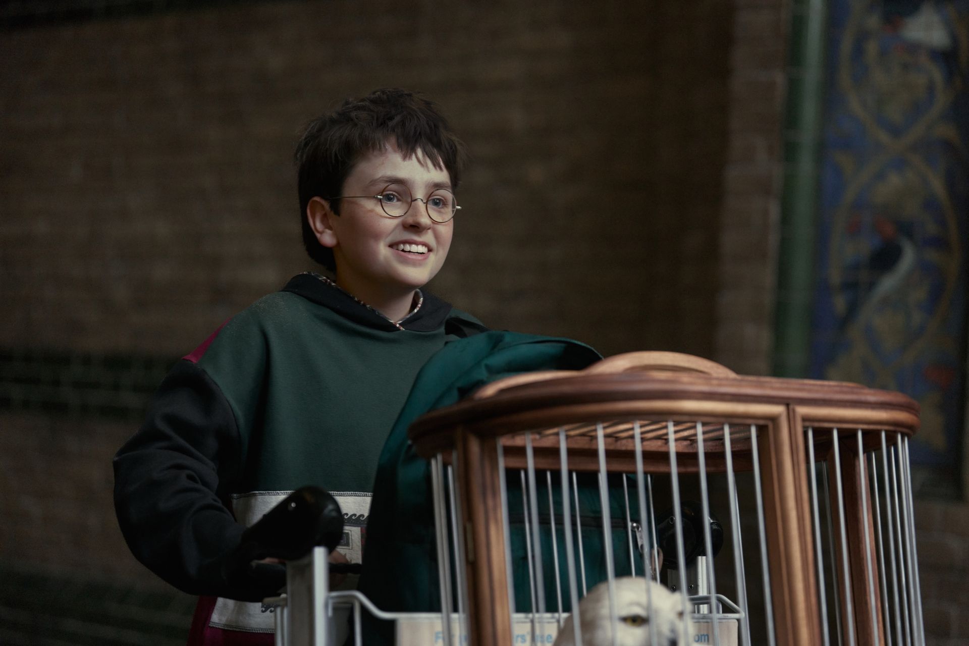 HBO's Harry Potter show will be a huge hit, and there's nothing anyone can do about it