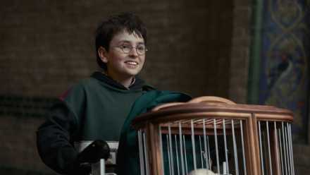 Harry Potter